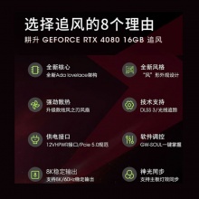 耕升（GAINWARD） RTX 4080 追风 新品 高端发烧电脑游戏显卡