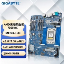 技嘉(GIGABYTE)WRX90 AMD线程撕裂者7000WX MH53-G40 双万兆网口全新服务器 MH53-G40