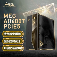 微星 MEG Ai1600T PCIE5 电源