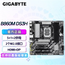 技嘉（GIGABYTE）B860M DS3H 主板 (Intel B860/LGA 1851）