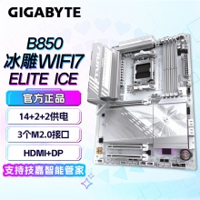 技嘉（GIGABYTE）B850 AORUS ELITE WIFI7 ICE 主板 (AMD B850/socket AM5)