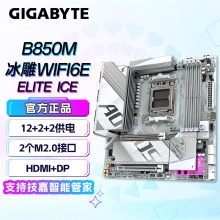 技嘉（GIGABYTE）B850M AORUS ELITE WIFI6E ICE 冰雕主板 (AMD B850/socket AM5)