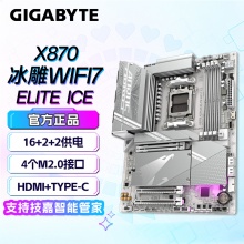 技嘉（GIGABYTE）X870 AORUS ELITE WF7 ICE主板