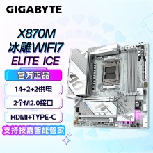 技嘉（GIGABYTE）X870M AORUS ELITE WF7 ICE主板