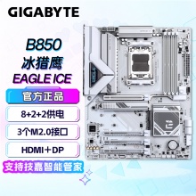 技嘉（GIGABYTE）B850  EAGLE ICE 主板
