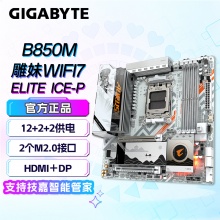 技嘉（GIGABYTE）B850M AORUS ELITE WIFI7 ICE-P主板DDR