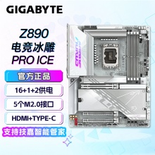 技嘉（GIGABYTE）电竞冰雕Z890 AORUS PRO ICE DDR5主板