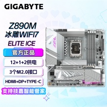 技嘉（GIGABYTE）冰雕Z890M AORUS ELITE WF7 ICE DDR5主板