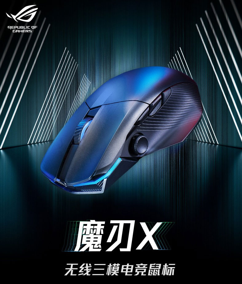 Xq_01.jpg
